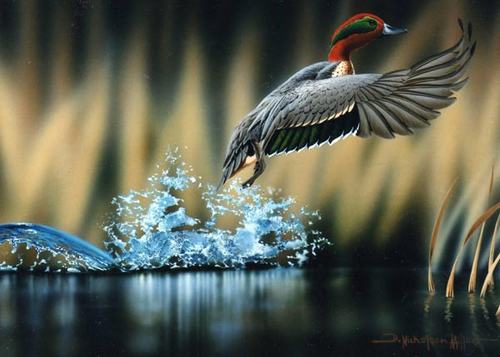chụp ảnh động vật hoang dã - hình minh họa 2