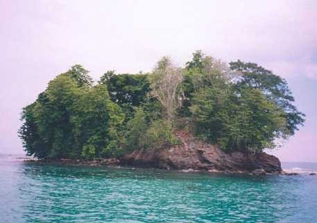 hòn đảo rắn - hình minh họa 4