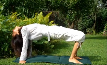 Yoga trẻ hóa - hình minh họa 6