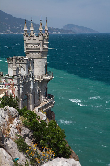 Swallows Nest Swallows Nest
