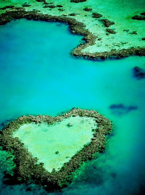 Heart Reef Heart Reef
