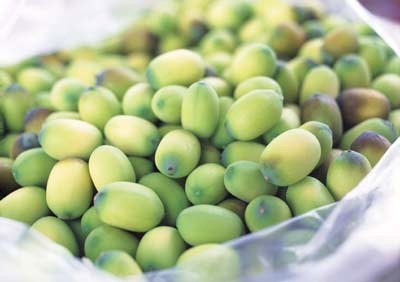 món ăn tốt cho người đau dạ dày - hình minh họa 2