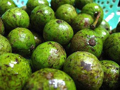 Bí quyết làm ô mai sấu xào