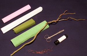 hoa mộc lan giấy