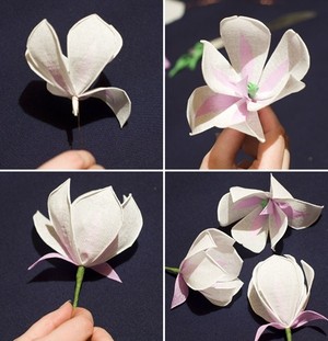 hoa mộc lan giấy - hình minh họa 4