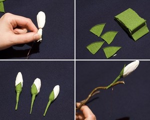 hoa mộc lan giấy - hình minh họa 5