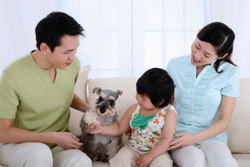 Bản lĩnh làm vợ!, Tin tức trong ngày,