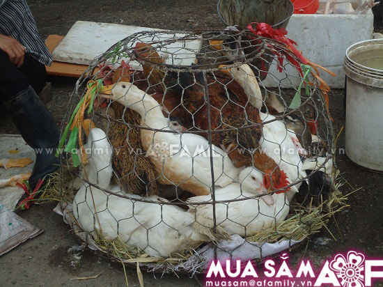 Mẹo đi chợ nhanh gọn và tiết kiệm - hình minh họa 15