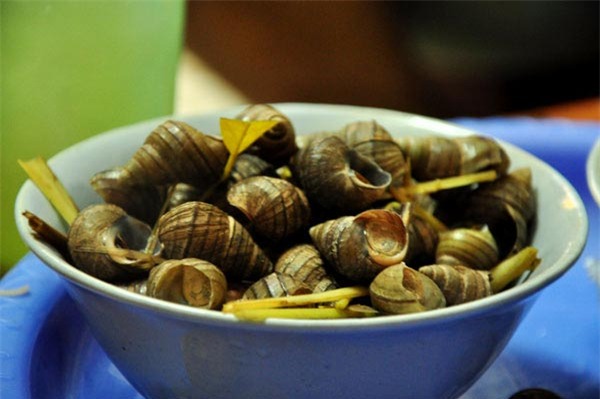 Hà Nội Mùa Đông - hình minh họa 4