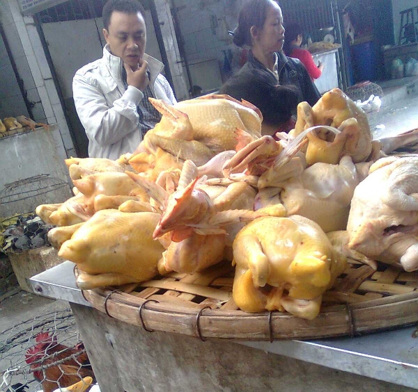 an toàn thực phẩm - hình minh họa 4