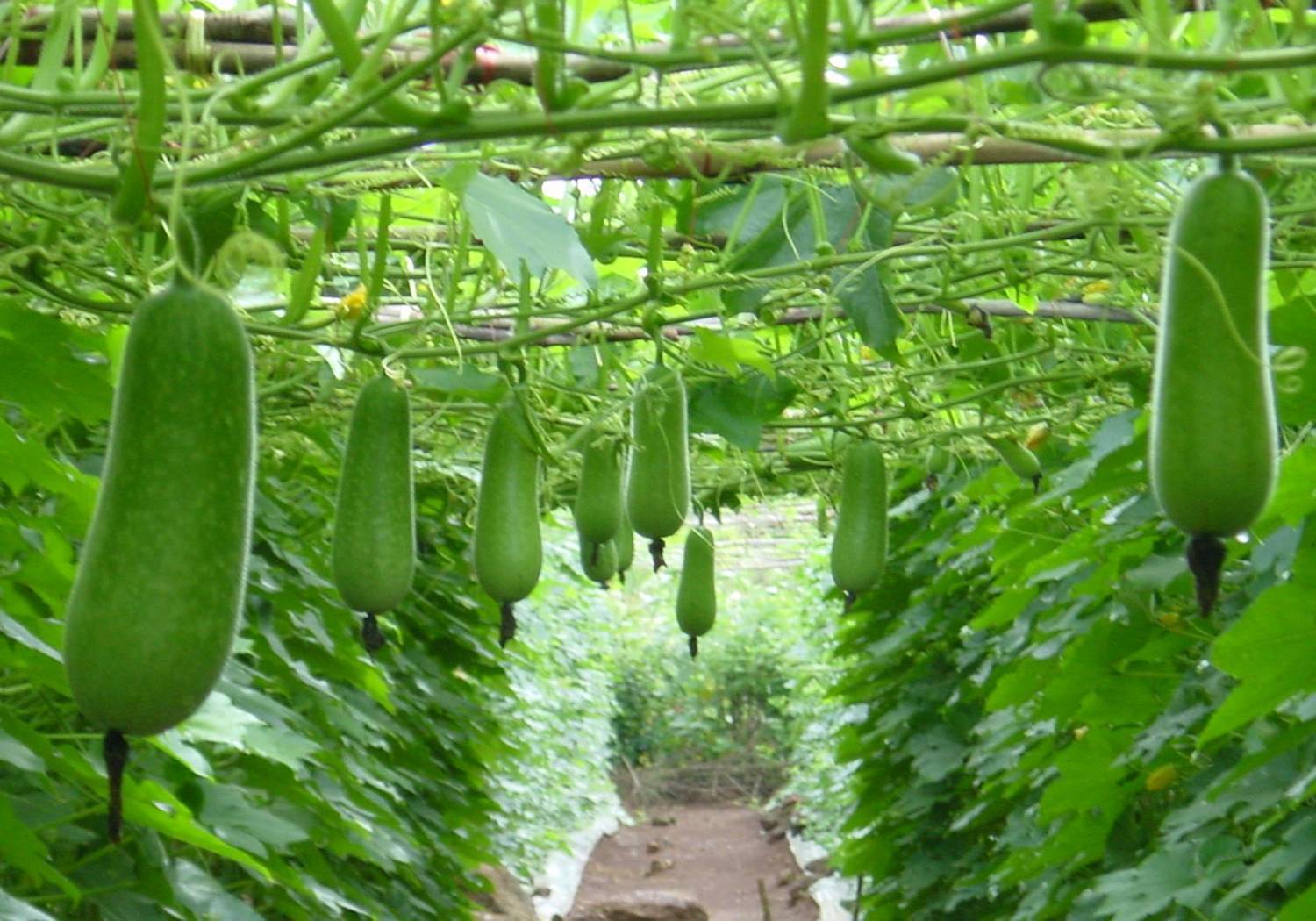 dinh dưỡng gia đình cuối tuần