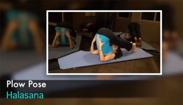 6 tư thế yoga giúp chị em trẻ lâu, tránh lão hóa 4 yoga trẻ hóa làn da - hình minh họa 6