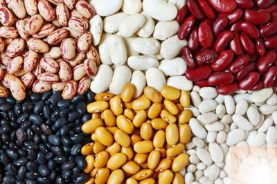 Bí Quyết Nhan Sắc Vượt Thời Gian