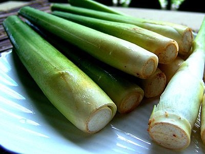 thực phẩm ngừa ung thư - hình minh họa 3