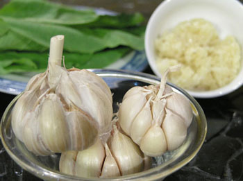 dinh dưỡng ngăn ngừa bệnh phụ khoa - hình minh họa 3