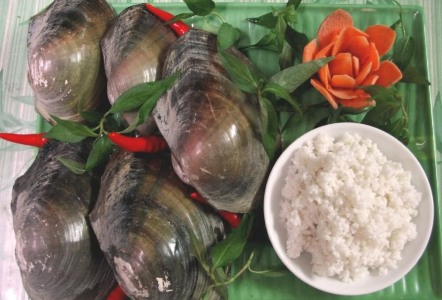 tác dụng của cháo trai
