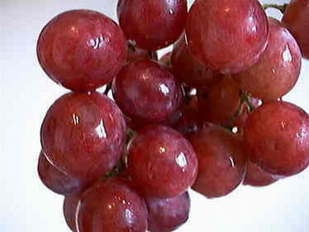 thực phẩm tăng cường sinh lý nam - hình minh họa 2