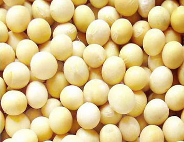 ngăn ngừa ung thư tuyến tiền liệt - hình minh họa 3