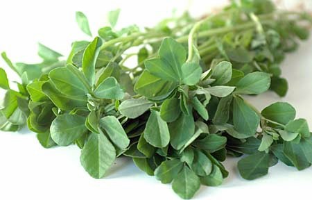 Bí quyết từ thiên nhiên - hình minh họa 12