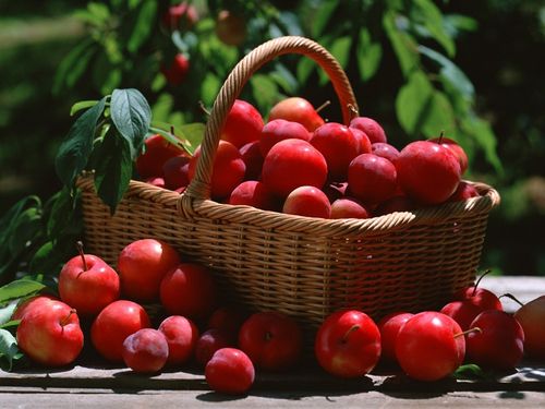 thực phẩm giảm mỡ bụng - hình minh họa 7
