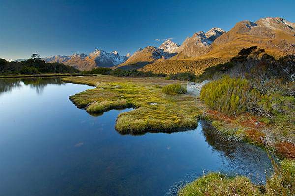 Vẻ đẹp Milford Sound - hình minh họa 8