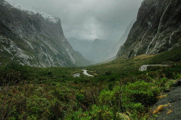 Vẻ đẹp Milford Sound - hình minh họa 9