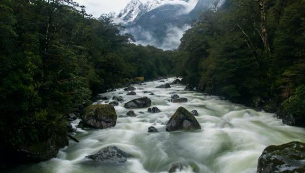 Vẻ đẹp Milford Sound - hình minh họa 17