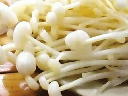 thực phẩm gan nhiễm mỡ - hình minh họa 4