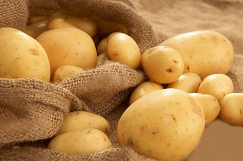 Tự làm mặt nạ dưỡng ẩm da đi chơi Giáng Sinh mặt nạ dưỡng ẩm tự nhiên - hình minh họa 2