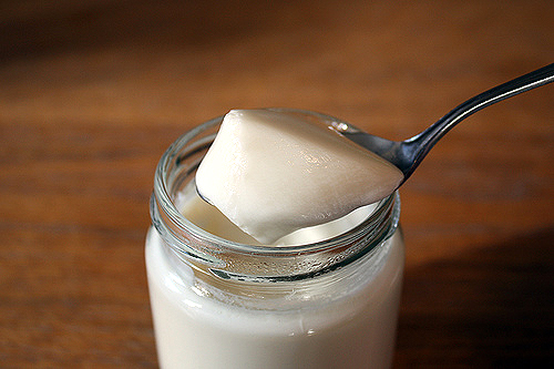 cách làm sữa chua tại nhà - hình minh họa 4
