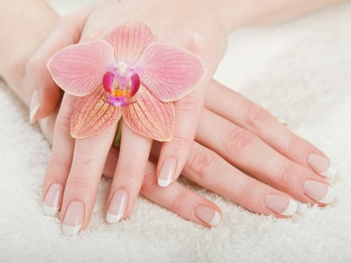 Bí Quyết Nâng Niu Đôi Bàn Tay